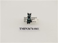 藏品(象鼻蟲(2))的圖片